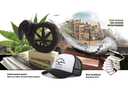 Dutch Passion: the story of the legendary seed bank