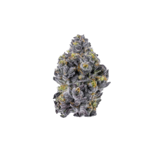 Sticky Wasabi Triploid F1