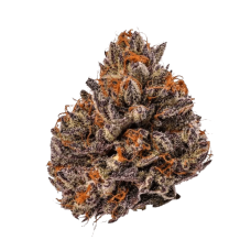 Tropicana Cherry Triploid F1